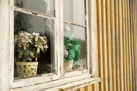 Altes Holzfenster von aussen mit Plastikblumen
