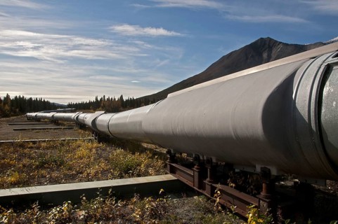 Oil pipeline crossing taiga habitat