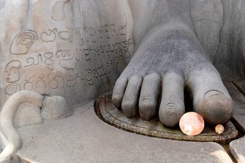Feet