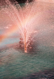 A water fountain sprinkling water in the view