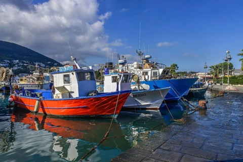 Fishing boats