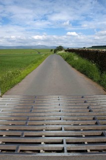 Cattle grid on narrow country road