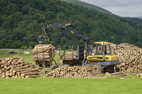 Loading sawn timber logs onto trailers