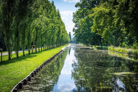 Pond
