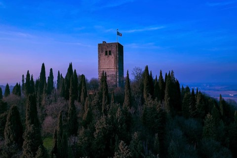 Castle tower
