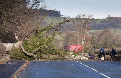 Clearing fallen tree from road after being blown over in wind