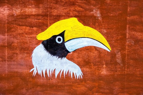 Great Indian Hornbill