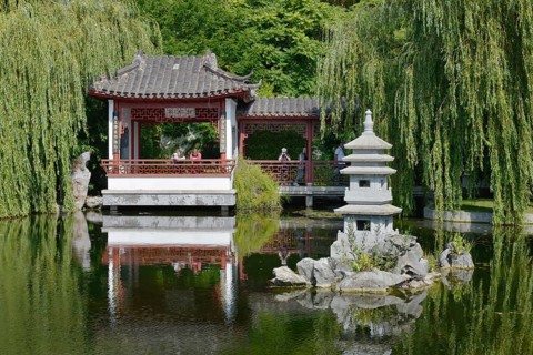 Chinese Garden