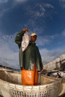 Tuna fisherman with catch