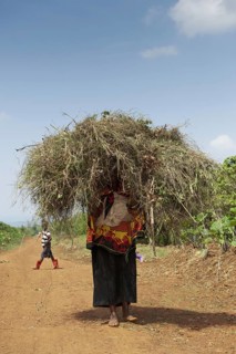Rwandan lady with lots of grass on her head walking barefoot along a dusty path. Rwanda