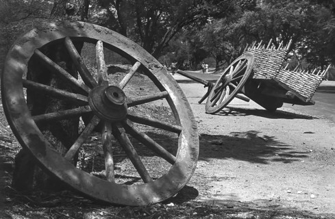 black and white photo