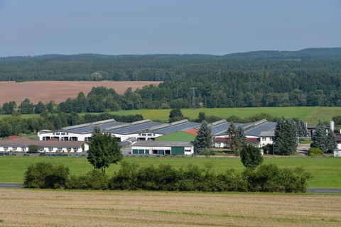 Stables