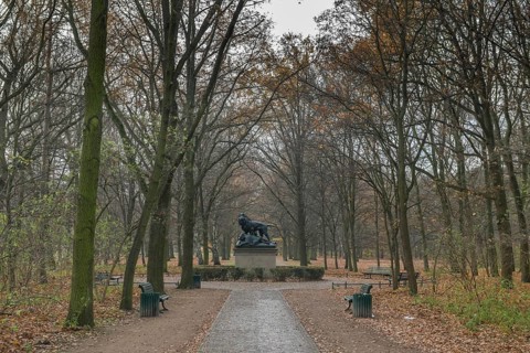 Ahornsteig