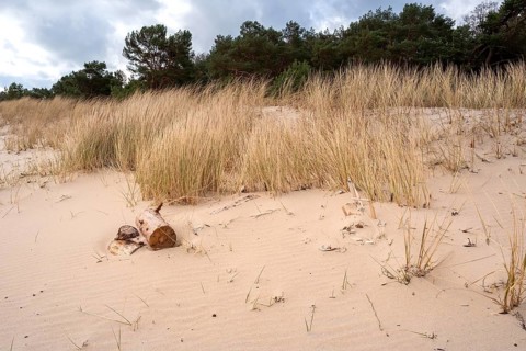 Strand und Ostsee bei Baabe