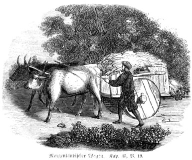 Oriental wagon