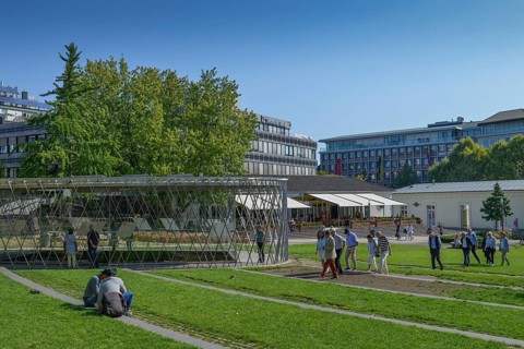 Archaeological showcase