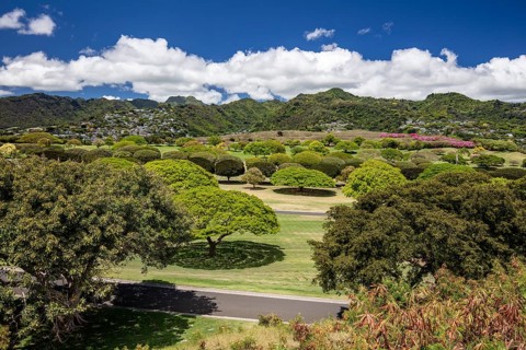 View over the park