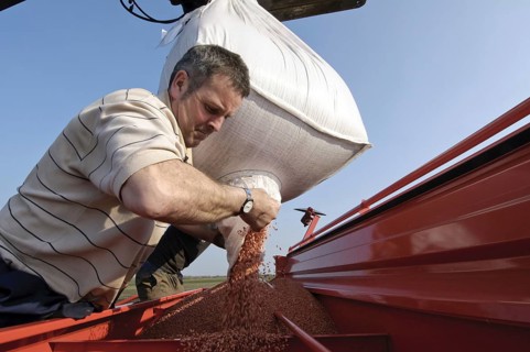 Farmer loads Westminster spring barley seed into seed hopper