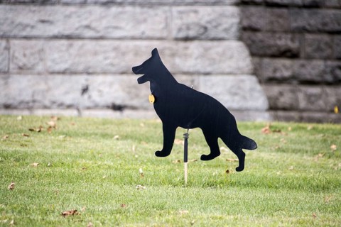 Whirling dog Scarecrow used to scare birds away from a grass lawn