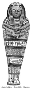 Well preserved Egyptian mummies