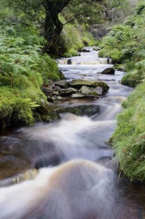 View of the Cascade Stream