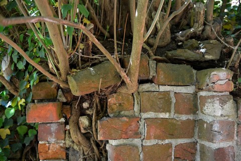 Roots Masonry