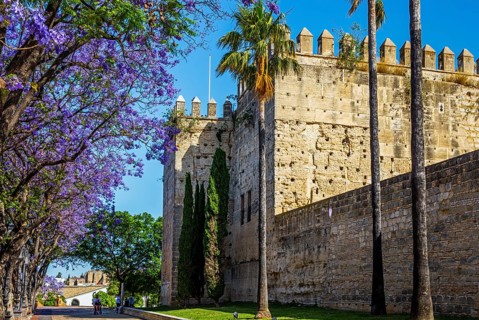 Fortress towers of the Alcazar with Jacaranda trees