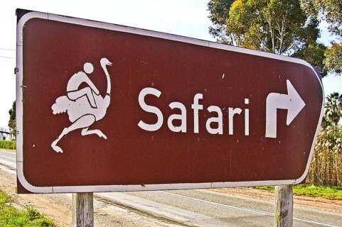 Ostrich Farm Notice