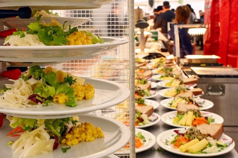 Stacked plates of mixed salad with sliced cheese and sprouts