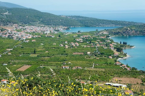 View of Ancient Epidaurus