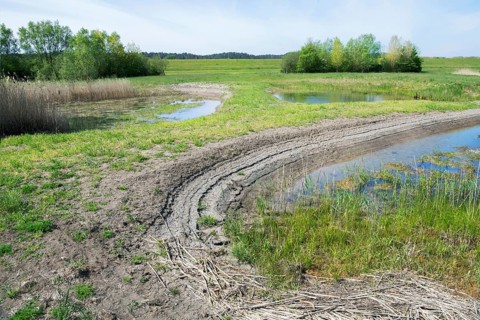 Niedersaechsische Elbtalaue