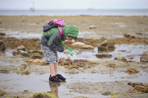 Boy rockpooling with net in coastal rockpools