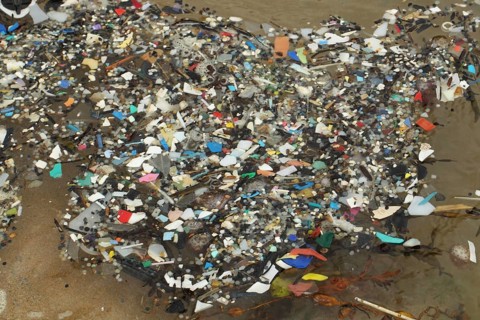 Micro plastics in rockpool