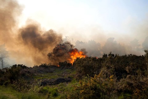 Fire on heathland