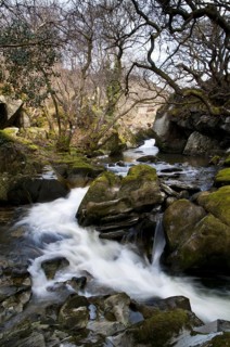 River cascades flowing around rocks