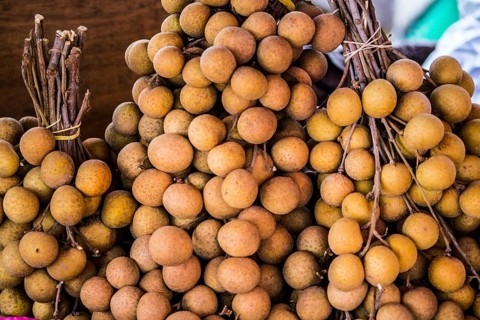 Longans