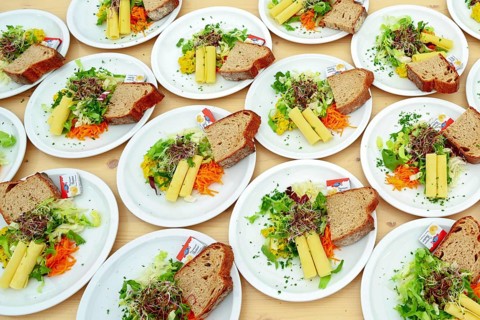 Mixed salad with sliced cheese and sprouts