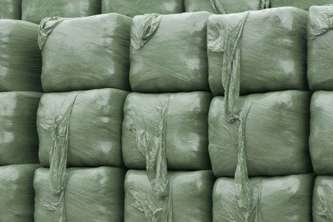 Square plastic-wrapped bags of silage for winter livestock feed