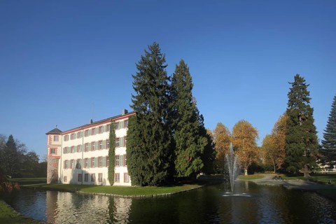 Moated castle in Eichtersheim