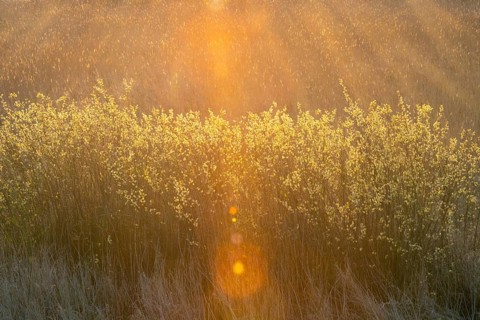 Sunrise at Duemmer