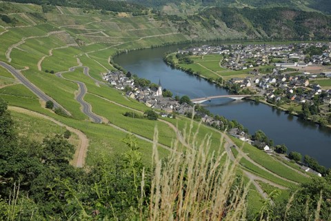 View of Piesport with serpentines in the wine-growing area of the Middle Moselle