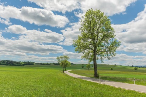Country road near Rotenbach wiesen nature reserve. Friedenweiler