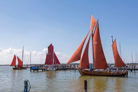 Zeesboote in the harbour