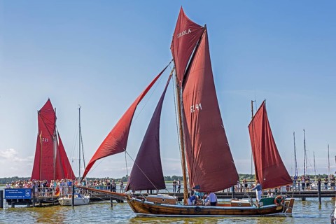 Zeesboote in the harbour