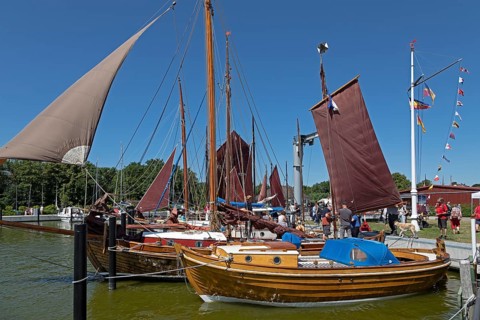 Zeesboote in the harbour