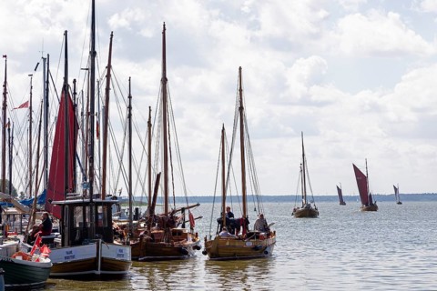 Zeesboote in the harbour