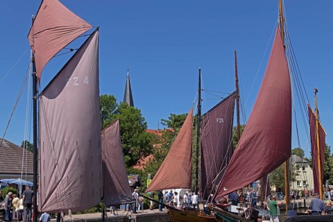 Zeesboote in the harbour