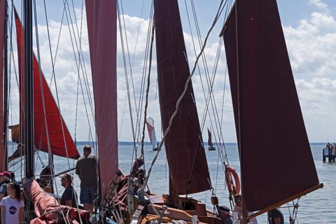 Zeesboote in the harbour