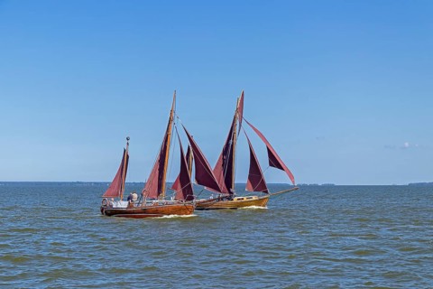 Zeesboot Regatta