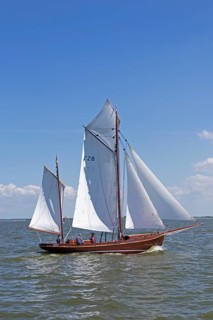 Zeesboot Regatta